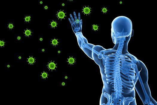 Si të përmirësojmë imunitetin në stinën e verës! ☀️