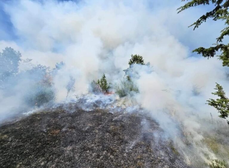 🔴 Zjarret e Rrezikshme Kërcënojnë Skenderajn: Komuna Alarmon Qytetarët për Kujdes të Shtuar