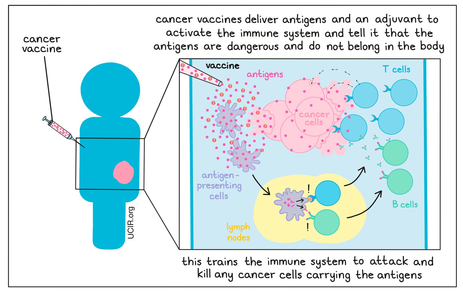 1.7_cancer_vaccine_general