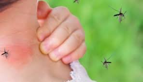 Ethet e Nilit Perëndimor Prekin Edhe Vendin Tonë: 17 Të Infektuar dhe 3 Viktima