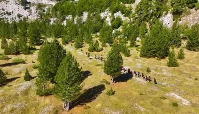 Pamje nga Alpet shqiptare, bukuria e Bjeshkëve të Kelmendit