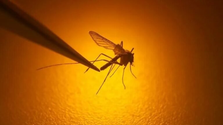 Virusi vdekjeprurës sjell një kërcënim të ri ‘serioz’ në Ukrainë