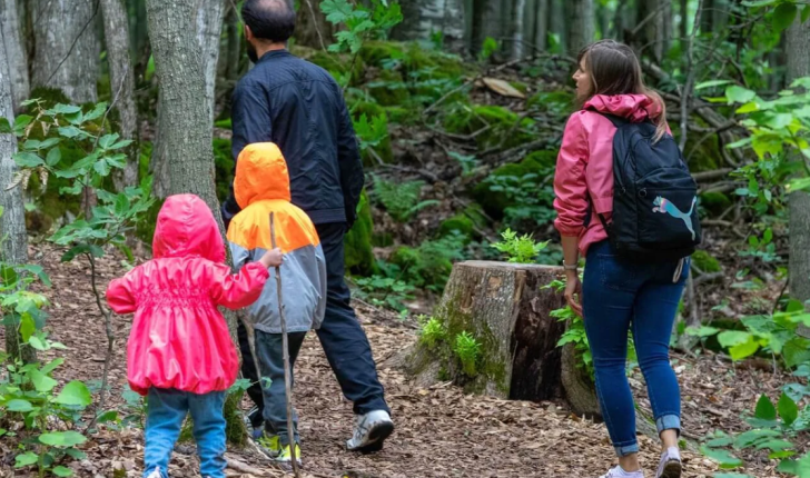 15 tetori shënon Ditën Ndërkombëtare të Ecjes në Natyrë