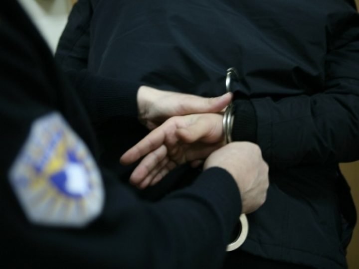 Skenderaj-Ia-plagosen-qenin-ankuesit-policia-arreston-dy-persona-Insajderi.org_