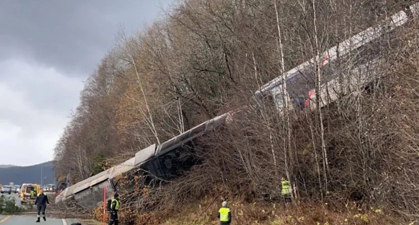 auto_Screenshot_2024-10-24_1744561729784703