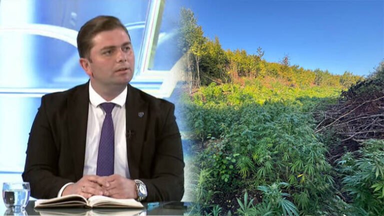 ersan-qavolli-780x439-1