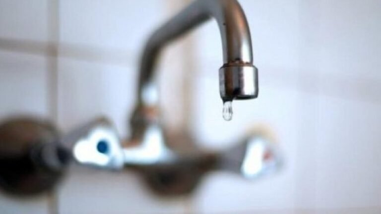 uji-e1663416335787-780x439-1