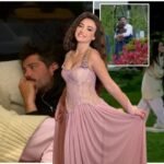 640-0-282a3aed04c46106a61df86858696ad8-1